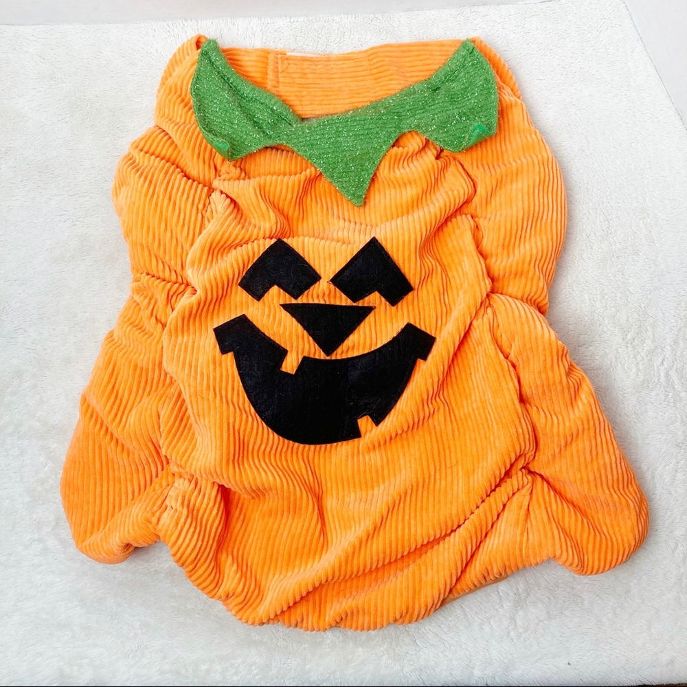 Large dog pumpkin costume